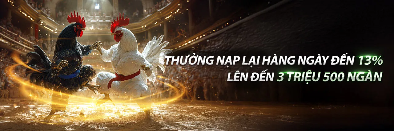 Chương trình đối tác gi88 bet