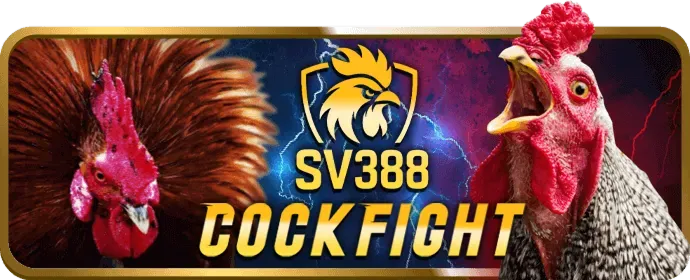Vòng quay miễn phí cho máy đánh bạc gi88 bet